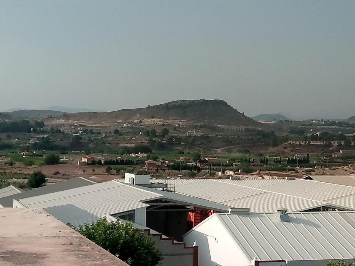 17-04-2019_Vista desde la terraza Foto 1.jpg